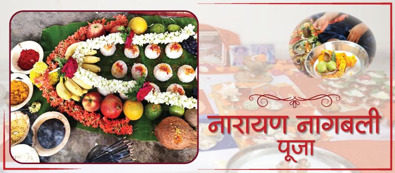 🕉️ Pandits for Narayan Nag Bali Puja